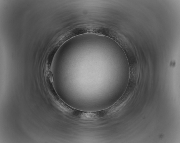 X0000097480137200802221400