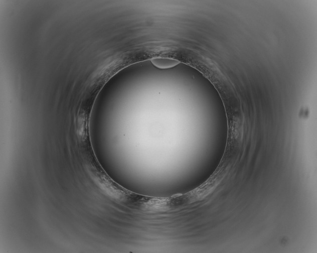 X0000097480138200802221400