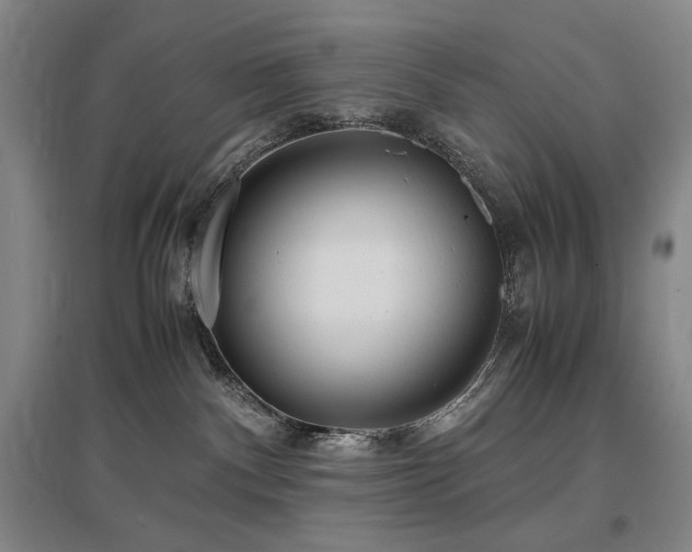 X0000097480140200802221400