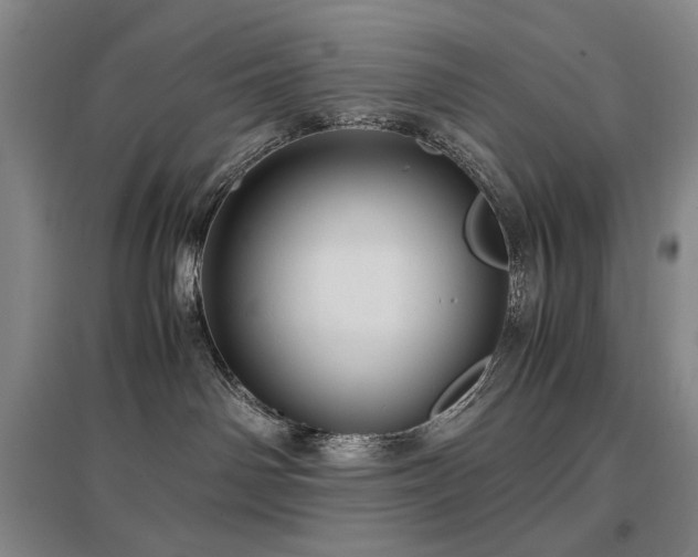 X0000097480142200802221400