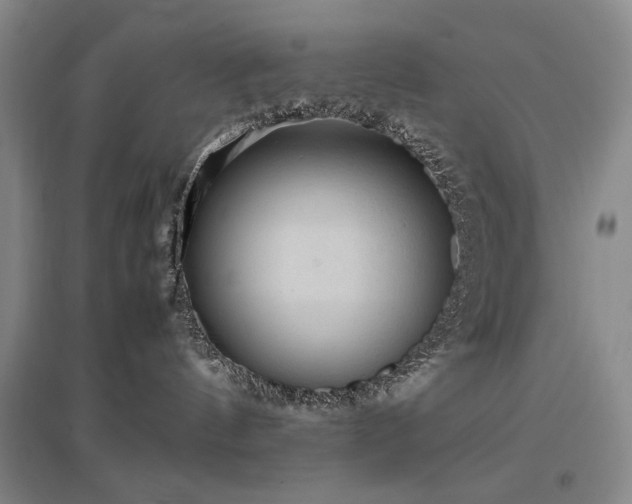 X0000097480144200802221400