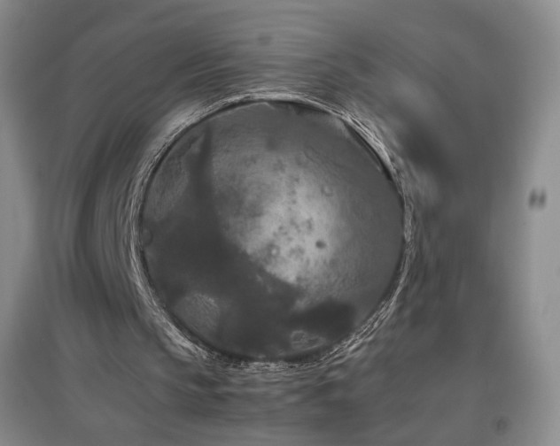 X0000097480145200802221400