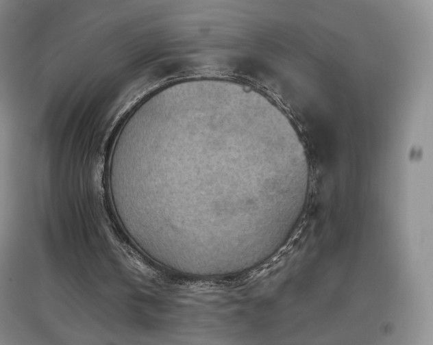 X0000097480146200802221400