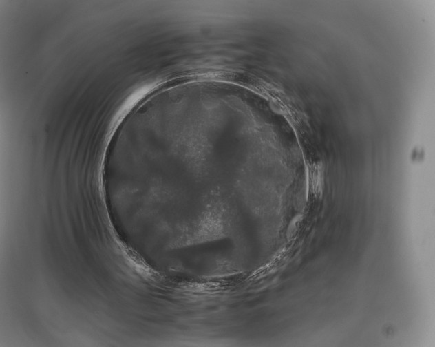 X0000097480147200802221400