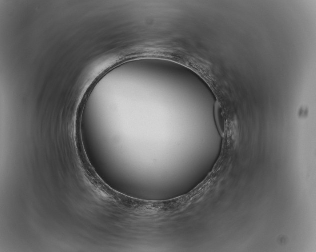 X0000097480148200802221400