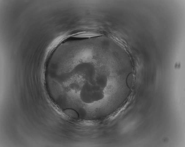 X0000097480149200802221400