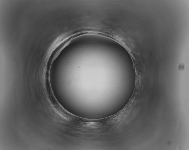 X0000097480151200802221400