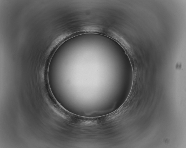 X0000097480155200802221400