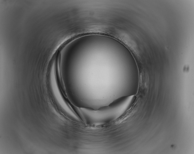 X0000097480156200802221400