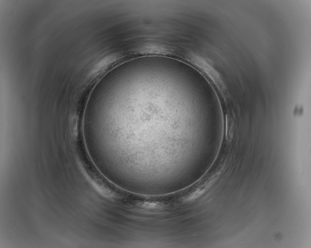 X0000097480157200802221400