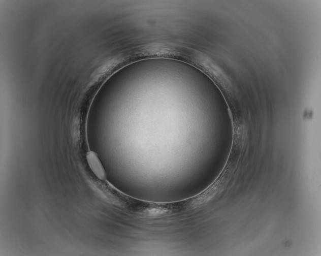 X0000097480158200802221400