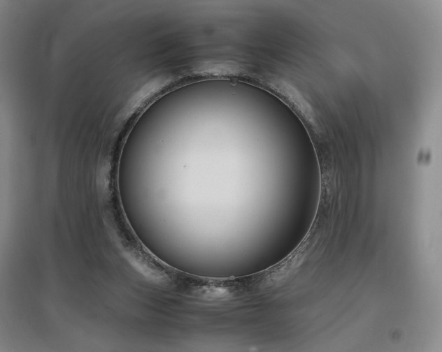 X0000097480159200802221400
