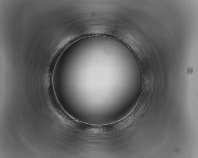 X0000097480160200802221400