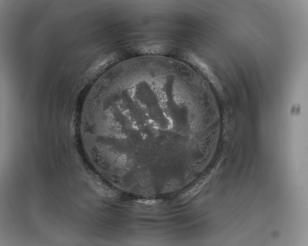 X0000097480161200802221400