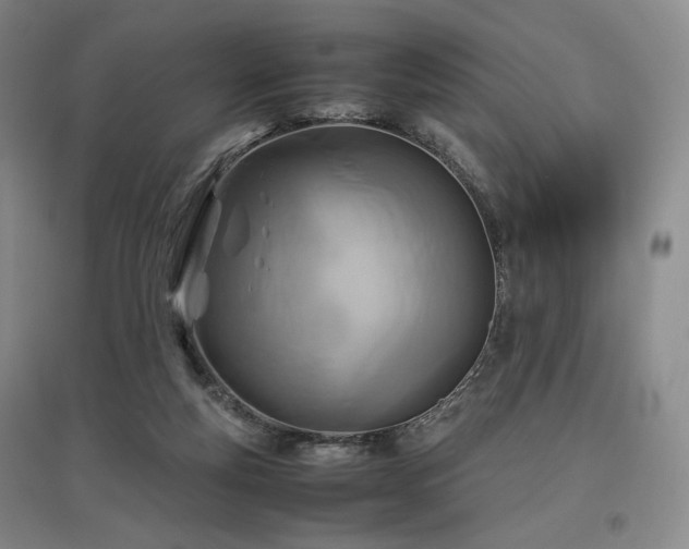 X0000097480163200802221400