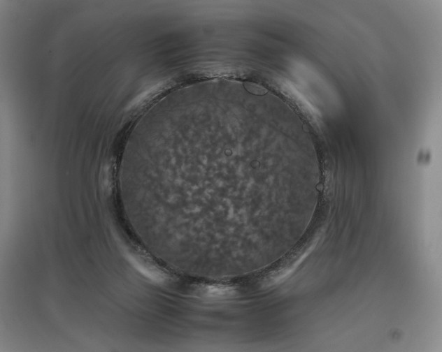 X0000097480165200802221400