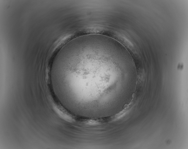 X0000097480166200802221400