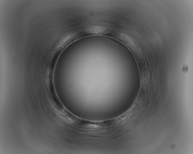 X0000097480167200802221400