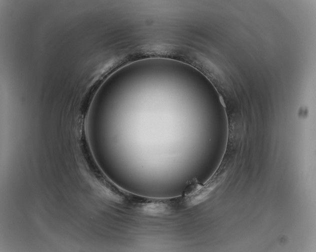 X0000097480168200802221400