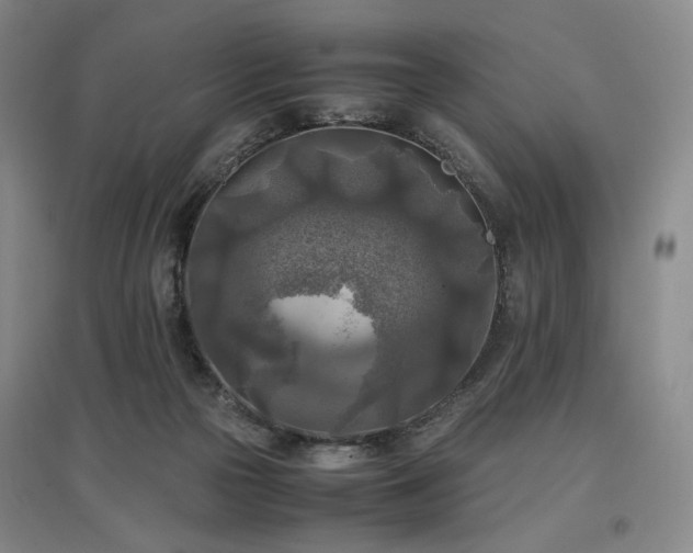 X0000097480169200802221400