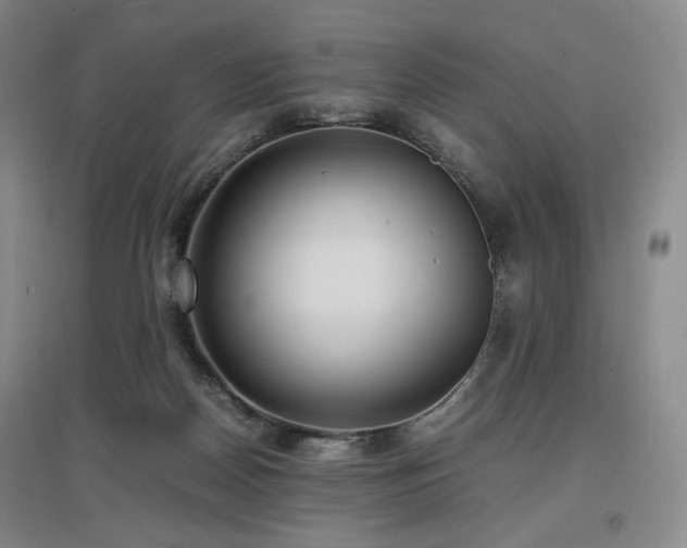 X0000097480170200802221400