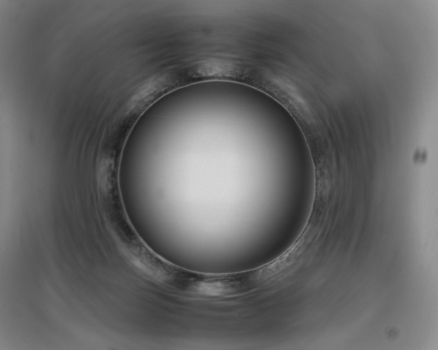 X0000097480171200802221400