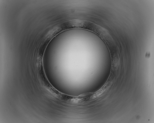 X0000097480172200802221400