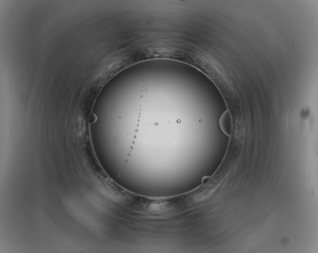 X0000097480173200802221400