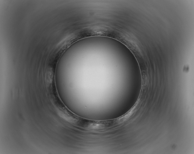 X0000097480174200802221400
