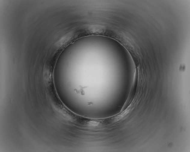 X0000097480176200802221400