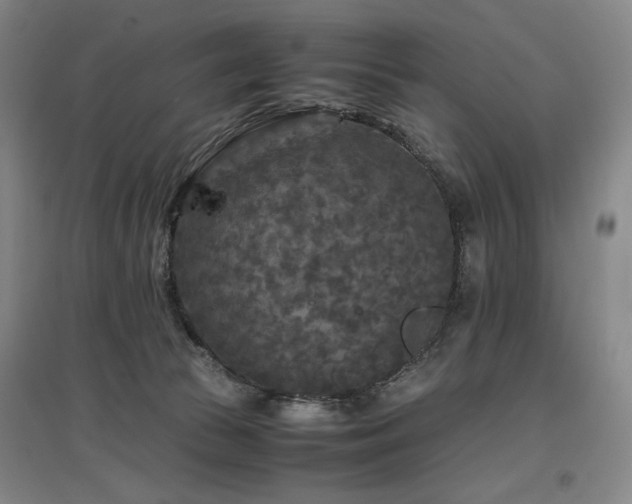 X0000097480177200802221400