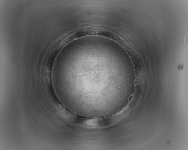 X0000097480178200802221400