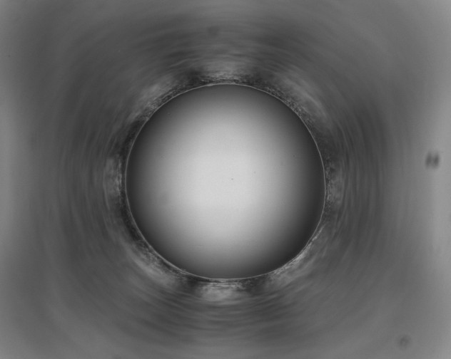 X0000097480179200802221400