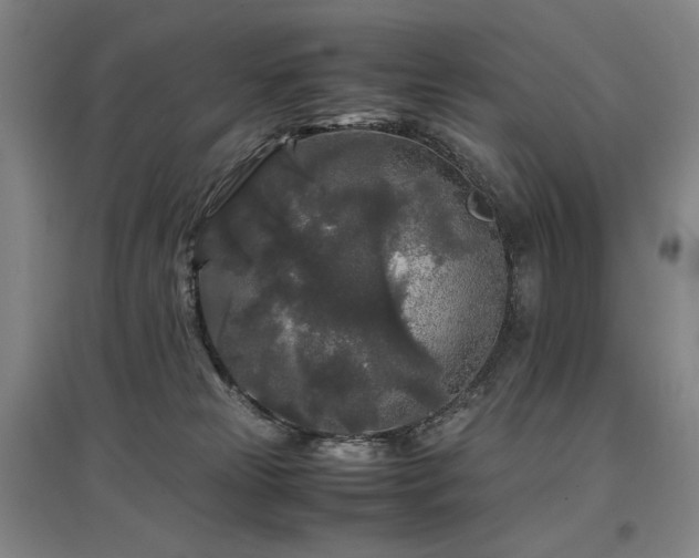 X0000097480181200802221400