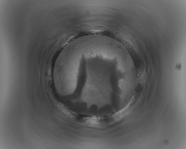 X0000097480182200802221400