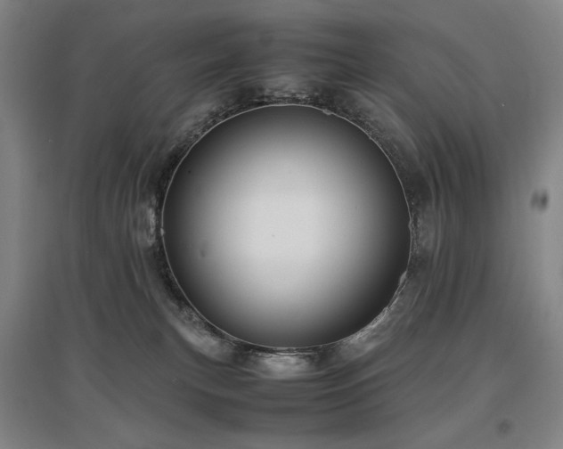 X0000097480183200802221400