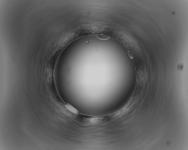 X0000097480184200802221400