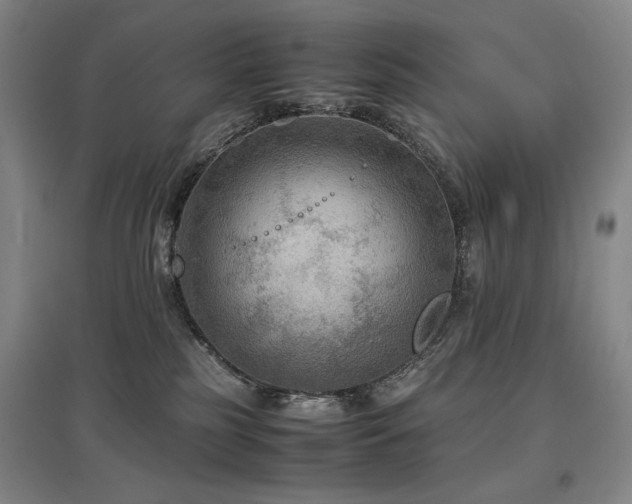 X0000097480185200802221400
