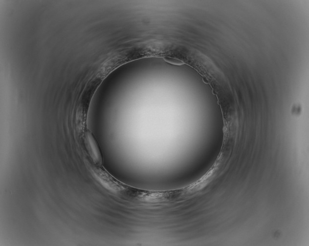 X0000097480186200802221400