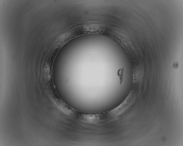 X0000097480187200802221400