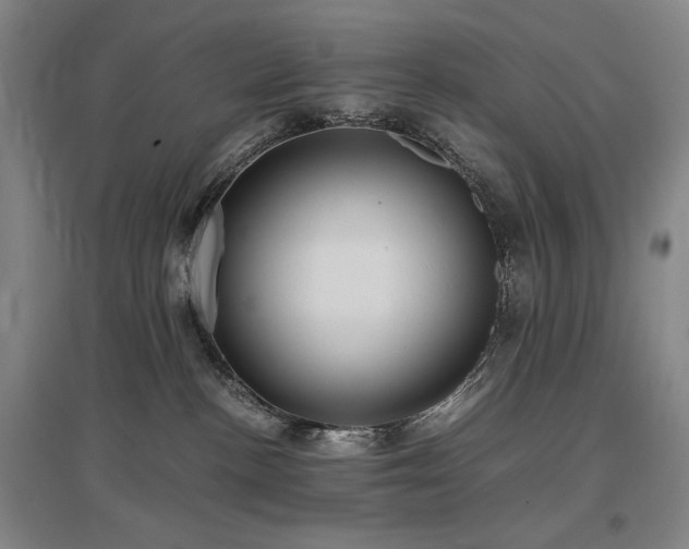 X0000097480188200802221400