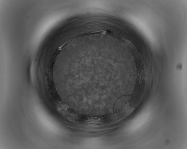 X0000097480189200802221400