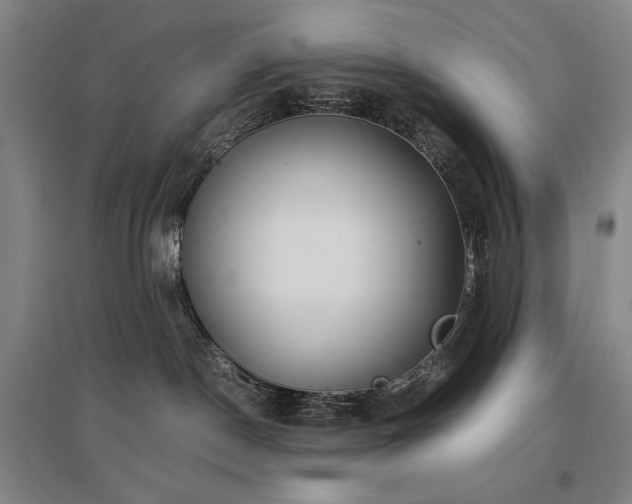 X0000097480190200802221400