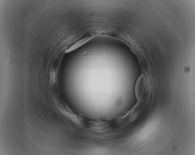 X0000097480191200802221400