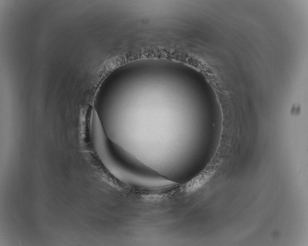 X0000097480192200802221400