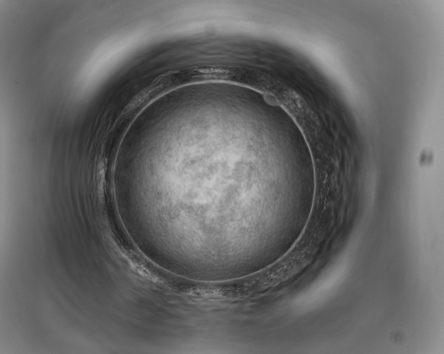 X0000097480194200802221400