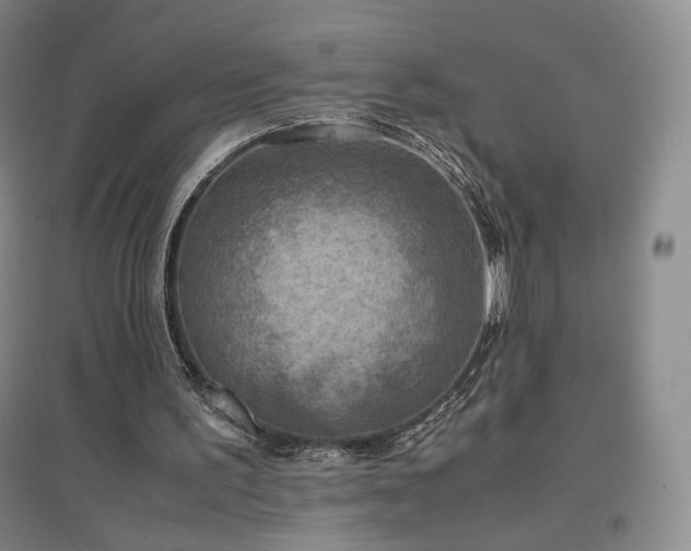 X0000097480195200802221400