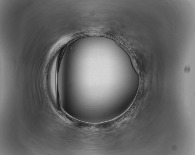 X0000097480197200802221400