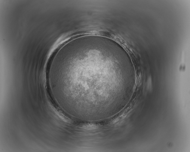 X0000097480198200802221400