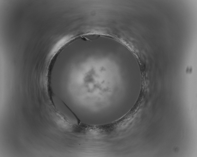 X0000097480199200802221359